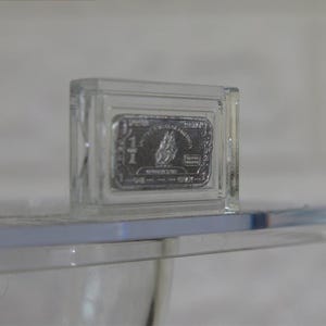 May include: A rectangular silver-colored metal bar encased in a clear plastic protective holder. The bar features an embossed design of a rabbit in the center, with the text 1 OUNCE and FINE SILVER inscribed on its surface, reflecting light.