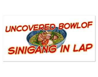 Soup in Car Magnets | Uncovered Bowl of Dal in Lap | 4" by 8 " Vinyl Magnet | Indian Foodie | Soup Lover