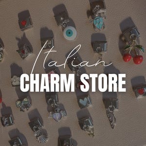 Build Your Own Charm Bracelet Italian Charm Bracelet Silver Custom Charm Bracelet Stainless Steel Italian Charms Y2K Charm Bracelet Silver