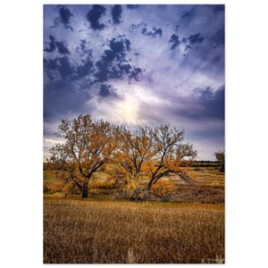 Sunset Behind Trees | Gift | Decor | Wall Art | Photograph | Scenery | Landscape | Nature