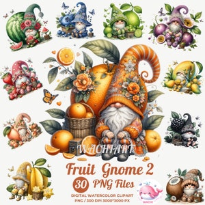 May include: A collection of digital watercolour clipart featuring various gnomes paired with fruits like oranges, watermelons, blueberries, limes, and strawberries. The central image shows an orange-themed gnome with the text WACHIART Fruit Gnome 2.