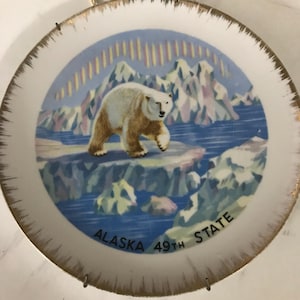 Placa decorativa colgante coleccionable con diseño de oso polar sobre hielo, 49.º estado de Alaska, con ribete dorado (20 cm)
