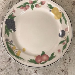 Gibson Fruit Festival Design Stoneware Scalloped Edge Collectible Decorative Dinner Plate (10 1/2 Inches)