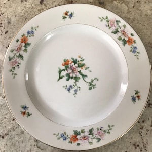 Germany Heinrich & Co Selb Bavaria Orange Pink Blue Floral Design With Gold Trim Porcelain Collectible Dinner Plates (10 Inches)