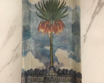 John Derian Scottish Armenian Turkish Artist Botanical Purple Floral Hand Painted Decorative Tray (10 Inches L’ X 5 1/2 Inches W’).