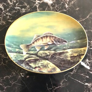 1995 The Bradford Exchange Walleye Collectible Plate By Edward L. Totten
