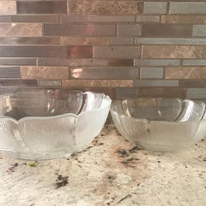 France Arcoroc Fleur Clear Pressed Flower Design Serving Bowls Decorative Glass Dishes Set Of Two (9 Inches & 7 Inches)