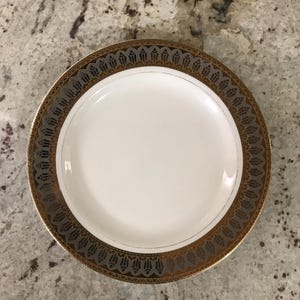 Puede incluir: Un plato de cerámica blanco con un borde decorativo dorado y marrón. El borde presenta un patrón repetido de motivos florales estilizados.