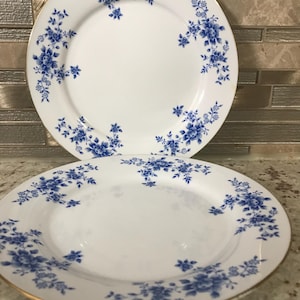 Two Blue White Floral China Garden Porcelain Collectible Salad Plates With Gold Trim Set Of Two (8 1/4 Inches)