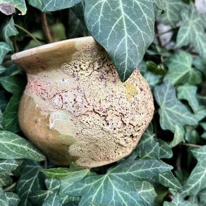 Może przedstawiać: Mały, teksturowany ceramiczny garnek z jasnobrązowym i różowym nakrapianym zewnętrzem. Obręcz jest jaśniejszym odcieniem brązu. Garnek otoczony jest zielonymi liśćmi bluszczu, tworząc naturalną, ziemistą estetykę. Idealny do małych roślin lub dekoracji.