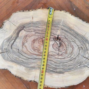 Slice of olive wood briar, Olive wood briar slab 14,9"x 9,4" x 1,5", Slice of olive tree, Wood for epoxy resin, Olive wood slice for DIY image 3