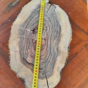 Slice of olive wood briar, Olive wood briar slab 14,9"x 9,4" x 1,5", Slice of olive tree, Wood for epoxy resin, Olive wood slice for DIY image 2