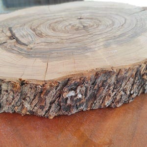 Slice of olive wood briar, Olive wood briar slab 14,9"x 9,4" x 1,5", Slice of olive tree, Wood for epoxy resin, Olive wood slice for DIY image 4