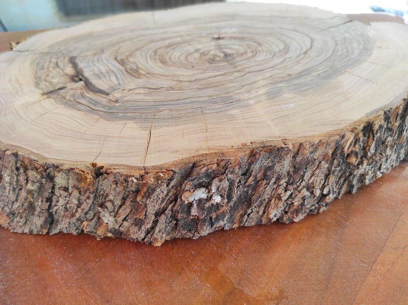 Slice of olive wood briar, Olive wood briar slab 14,9"x 9,4" x 1,5", Slice of olive tree, Wood for epoxy resin, Olive wood slice for DIY image 4