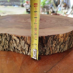 Slice of olive wood briar, Olive wood briar slab 14,9"x 9,4" x 1,5", Slice of olive tree, Wood for epoxy resin, Olive wood slice for DIY image 5