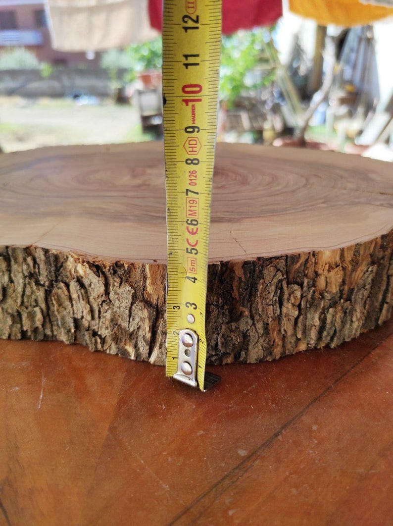 Slice of olive wood briar, Olive wood briar slab 14,9"x 9,4" x 1,5", Slice of olive tree, Wood for epoxy resin, Olive wood slice for DIY image 5