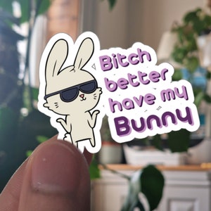 Have my Bunny Sticker | Funny Rabbit Vinyl Decal | Kawaii Design Kiss Cut Sticker | Silly Animal