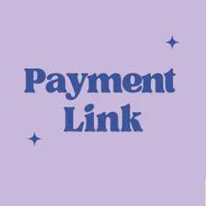 May include: A square graphic with a light lavender background featuring the dark blue text Payment Link centered in the middle. Two small four-pointed star icons are positioned at the top right and bottom left corners of the text block.