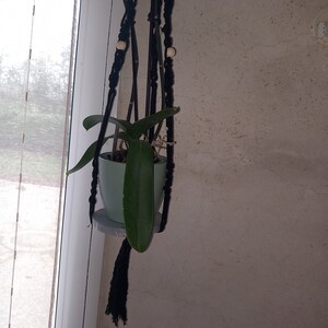 Flower pot hanger