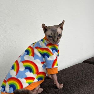 Puede incluir: Un gato Sphynx sin pelo con un suéter con estampado de arcoíris. El suéter tiene un fondo azul con nubes blancas y vibrantes arcoíris. Los puños y el cuello son de color naranja. El gato está sentado en una superficie marrón.