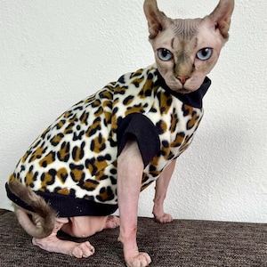 Op de afbeelding: Een haarloze Sphynx-kat draagt een trui met luipaardprint en zwarte boorden. De kat heeft blauwe ogen. Het patroon van de trui bestaat uit bruine vlekken op een witte achtergrond. De kat zit op een bruin oppervlak.