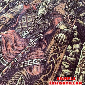May include: A detailed illustration of a Viking warrior in a helmet and armor, holding a sword and sitting on a throne. The warrior has a long beard and is surrounded by ravens and other Norse imagery. The image has a dark background and is printed on a fabric surface. The text "SAMPLE &Eacute;CHANTILLON CAMPIONE PROBE" is visible in the lower right corner.