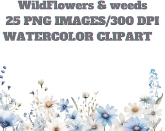 Watercolor Wildflower Clipart Bundle | Pastel Floral PNG Set | Botanical Flowers | Boho Watercolor Floral Graphics | Digital Download