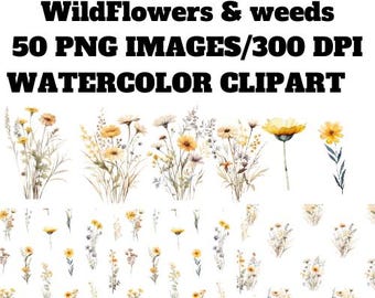 Watercolor Wildflower Clipart Bundle | Floral Borders PNG | Botanical Frame Clipart | Boho Watercolor Flowers | Digital Download