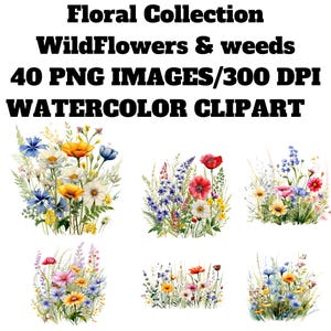 May include: Watercolor clipart featuring a floral collection of wildflowers and weeds. The image includes several bouquets of colorful flowers in shades of blue, yellow, red, and pink. Text at the top reads "Floral Collection Wildflowers & Weeds 40 PNG IMAGES/300 DPI WATERCOLOR CLIPART."
