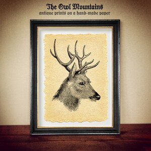 Stampa di cervi su carta fatta a mano, poster invecchiato, regalo per amanti degli animali o cacciatori, guardie forestali, animali selvatici, wallart ispirato alla foresta n. 1