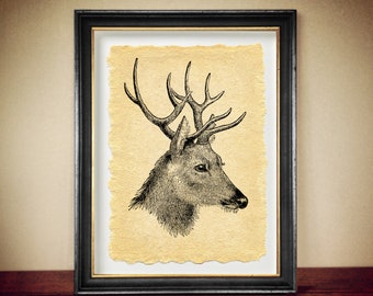 Deer print on a hand-made paper, aged poster, gift for animal lovers or hunters, rangers, wild animals, forest inspired wallart #1