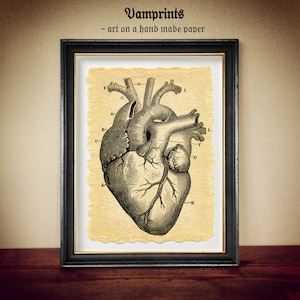 Stampa anatomica del cuore su carta fatta a mano, poster invecchiato, regalo per cardiologo, studente di medicina, decorazione murale per studio medico, anatomia n. 1