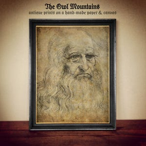 Leonardo da Vinci AutoPortrait – Renaissance Masterpiece Art Print – Vintage Historical Wall Decor – Gift for Artists, History Lovers #354