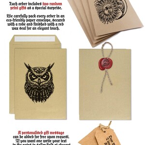 a set of four cards with a picture of an owl