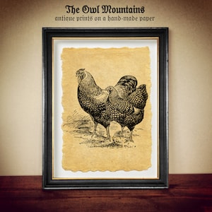 Stampa di gallo e gallina su carta fatta a mano, arte invecchiata, regalo per gli amanti degli uccelli, idea regalo per mamma, nonna, arte murale per la cucina #66