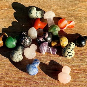 Puede incluir: Una colección de 17 pequeñas figuritas de setas de piedra pulida en varios colores, incluyendo rosa, verde, rojo, negro, blanco, marrón y amarillo. Las figuritas están dispuestas sobre una superficie de madera.