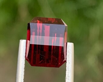 Faceted Pixel Cut Rhodolite Garnet