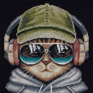 Puede incluir: Un gato con una gorra de béisbol verde, gafas de sol y una sudadera gris con capucha. El gato está escuchando música con auriculares.