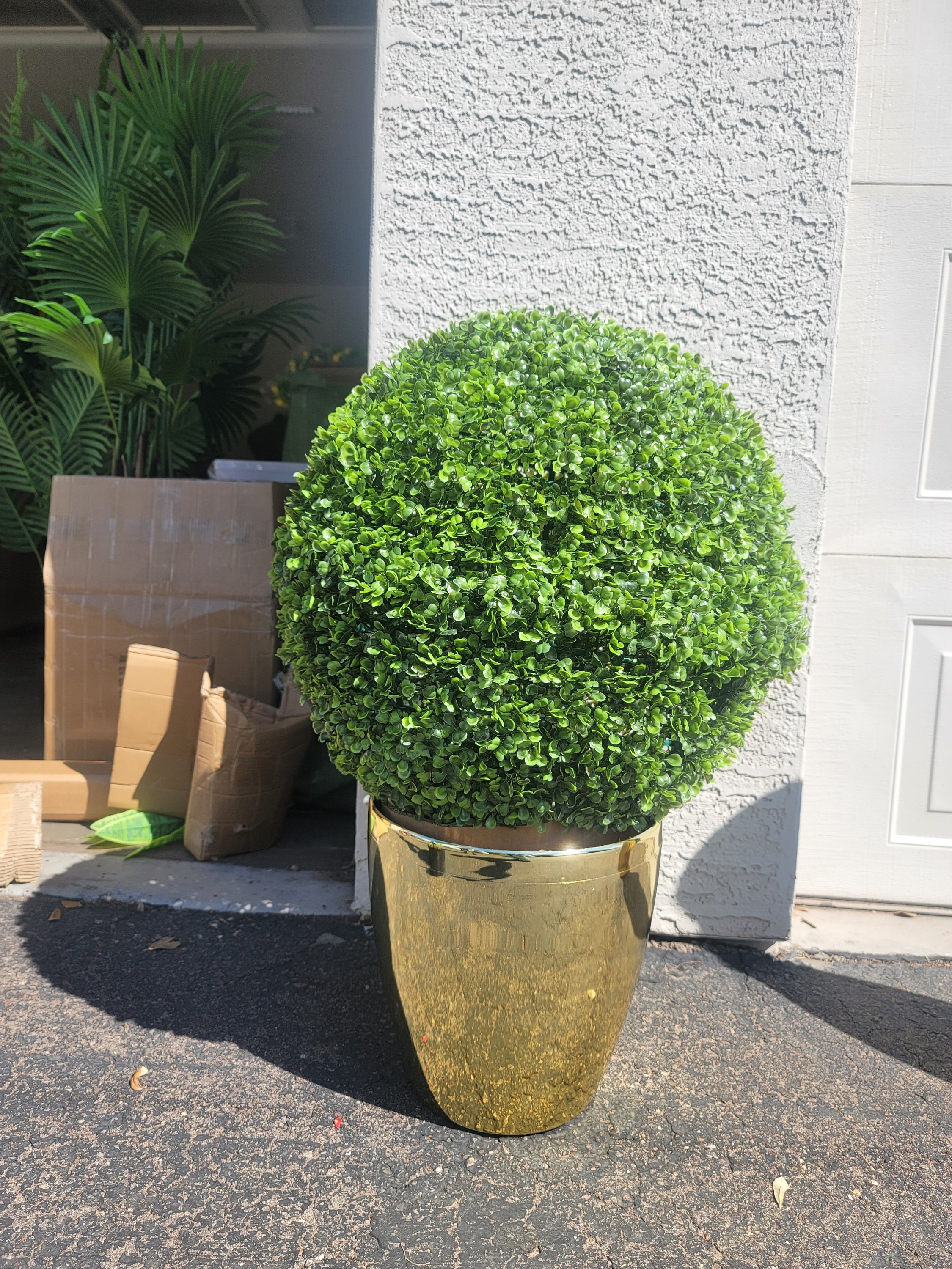 How to Make a Topiary in your Garden, image size:2250x3000