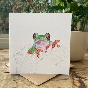 Carte de voeux rainette