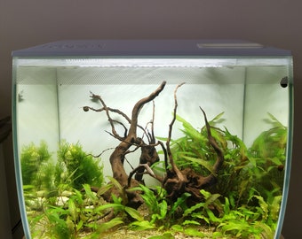 Fluval Flex 57L / 34L Aquarium Abdeckung / Futterlukenabdeckung / Deckel / Futterdeckel / Upgrade / Schutz / Aquaristik