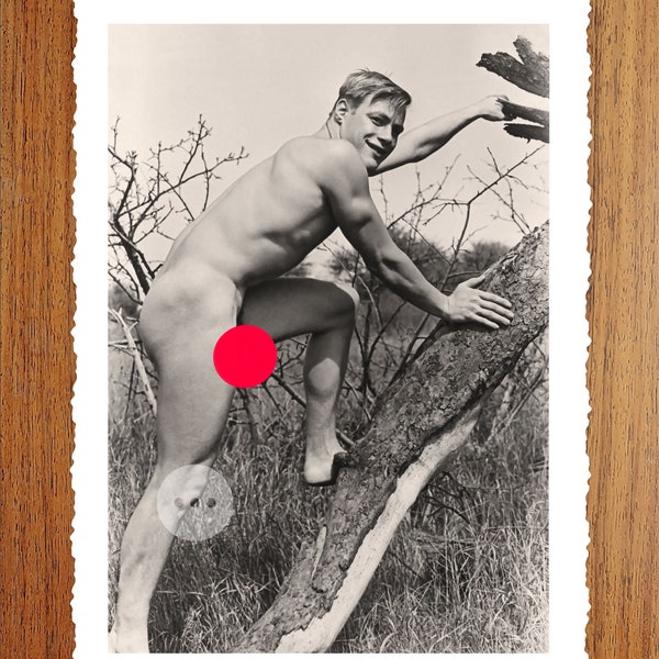 Vintage Male Nude Art Photo Print - Naked Man Climbing a Tree - Erotic Vintage Photography - Naked Male Figures - Gay Interest Wall Decor