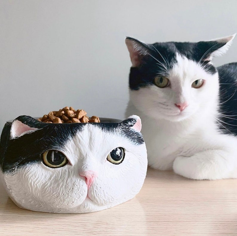Custom Cat Food Bowls For Cats That Eat Too Fast Custom Cat Food