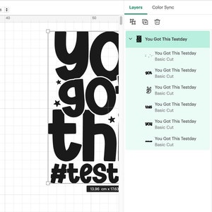May include: Black and white graphic design with the text "You Got This Testday" and the hashtag "#test".