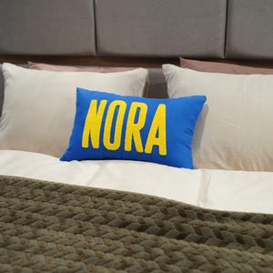 Home Decor Punch Needle Embroidered Custom Pillow, Personalized Gift Graduation Gift Dorm Room Decor, Decorative Room Decor, Monogram Pillow