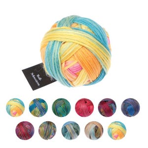 Self-Striping  Merino Wool Yarn  - Schoppel Woll-Schwestern 50g (130m) | 100% Virgin Wool | Hand-Dyed | Sport/DK Weight | Scoppel Wolle Yarn