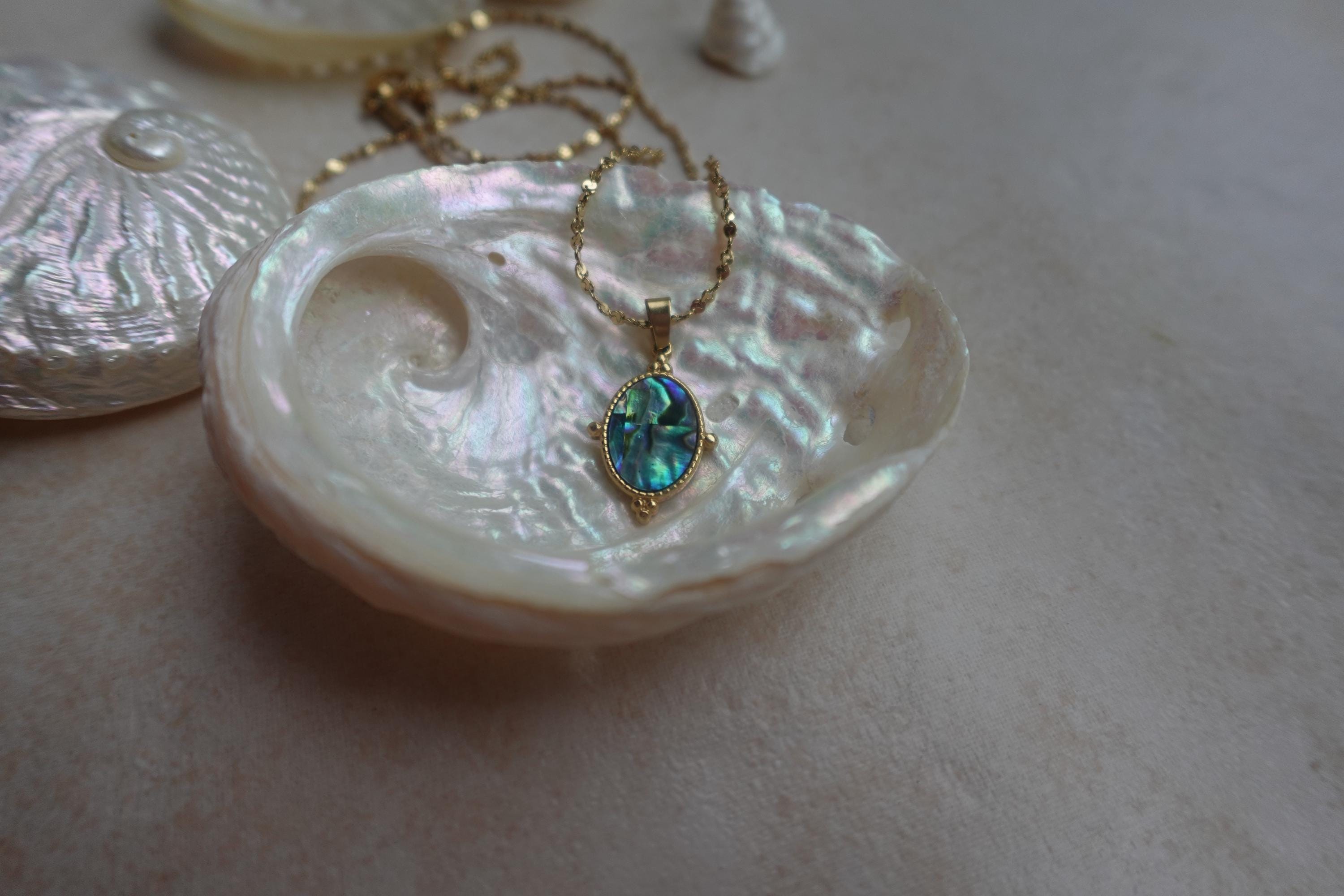 Bijoux coquille d'ormeau - France