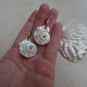 May include: Two white iridescent seashell pendants with gold-toned metal hoops attached to the top. The shells feature a natural spiral pattern and a glossy, pearlescent finish. A larger, matching iridescent seashell is positioned nearby.