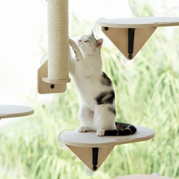 Cat Perch Cat Wooden Window Mounted Cat Bed Climbing Scratching for and Secure Suction Cups Kitty Sunbathing Scratcher for Indoor Cats Pet