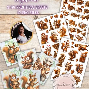 Może przedstawiać: Arkusz do druku z kreskówkowymi wiewiórkami, żołędziami i innymi elementami. Tekst brzmi "Squirrel", "3 A4 PRINTABLE SHEETS" i "19 PNG FILES". Obecna jest również naklejka ze zdjęciem kobiety.